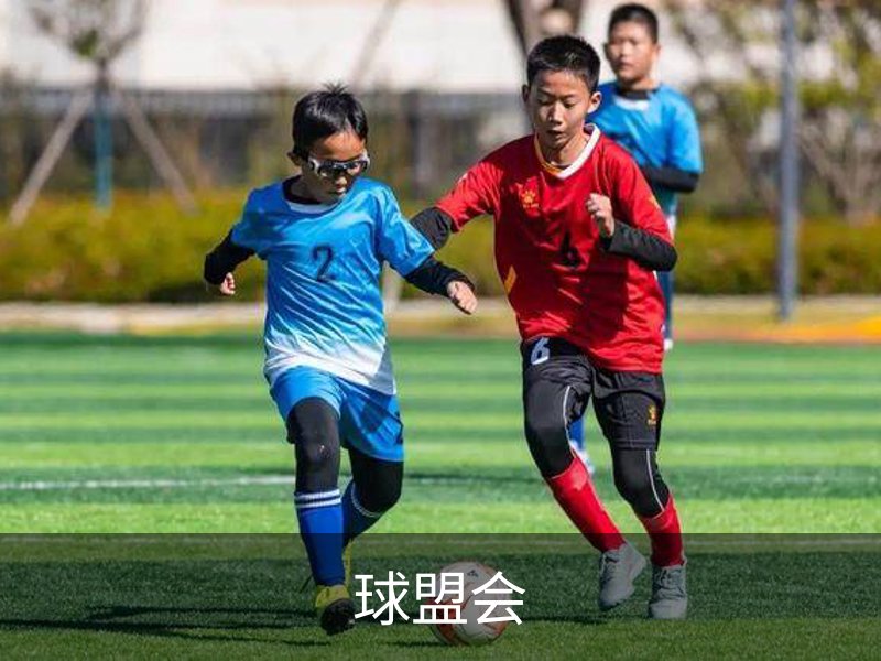 球盟会概况